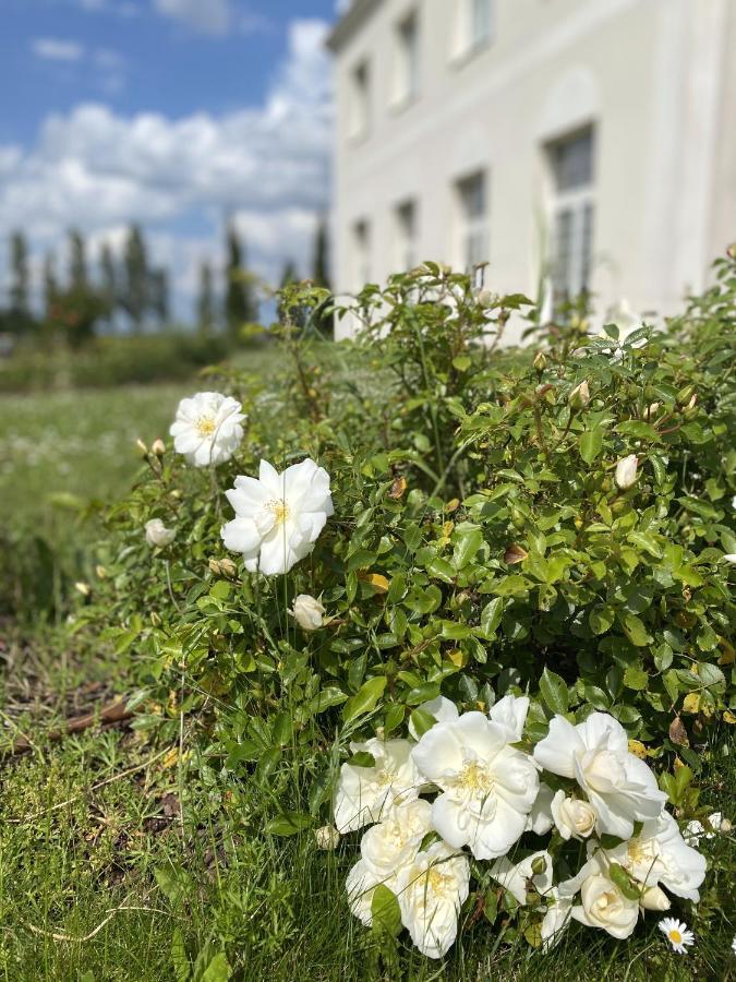 Villa Bellagio Amboise By Popinns Екстериор снимка